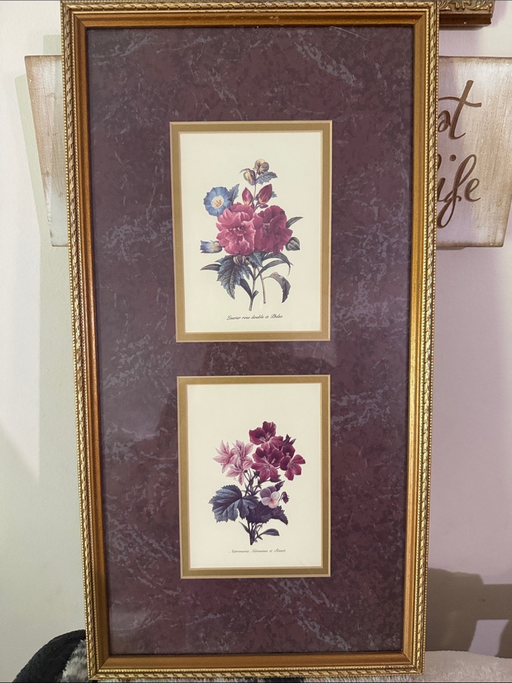 Framed Vintage Double Floral Prints in Gold Frame